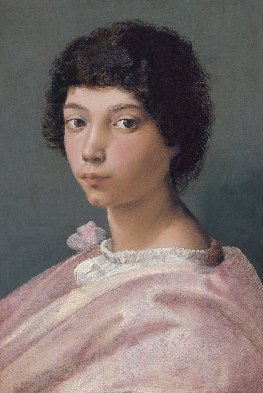 Portrait of a Young Man by Raffaello Sanzio Raphael