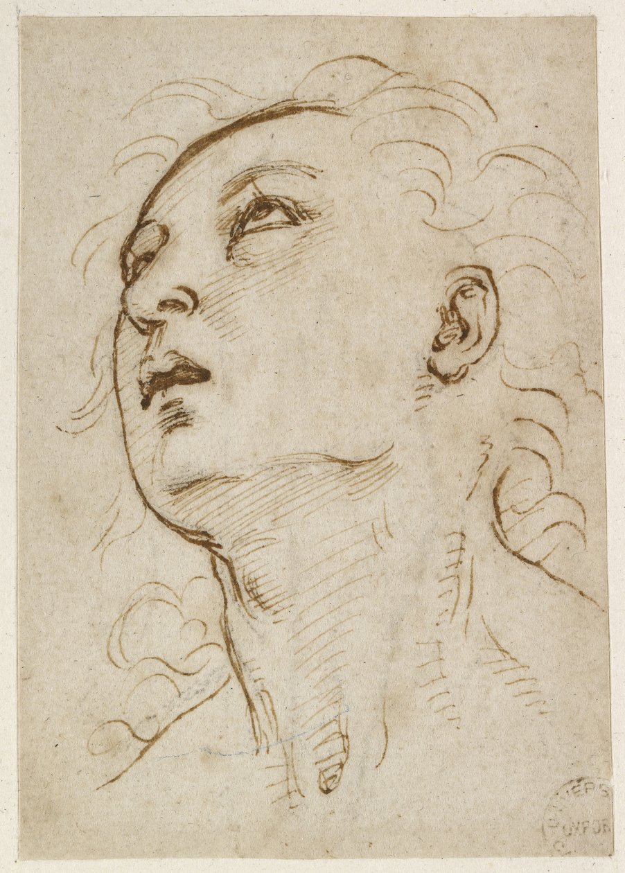 Head of a Young Man Gazing Upwards by Raffaello Sanzio Raphael