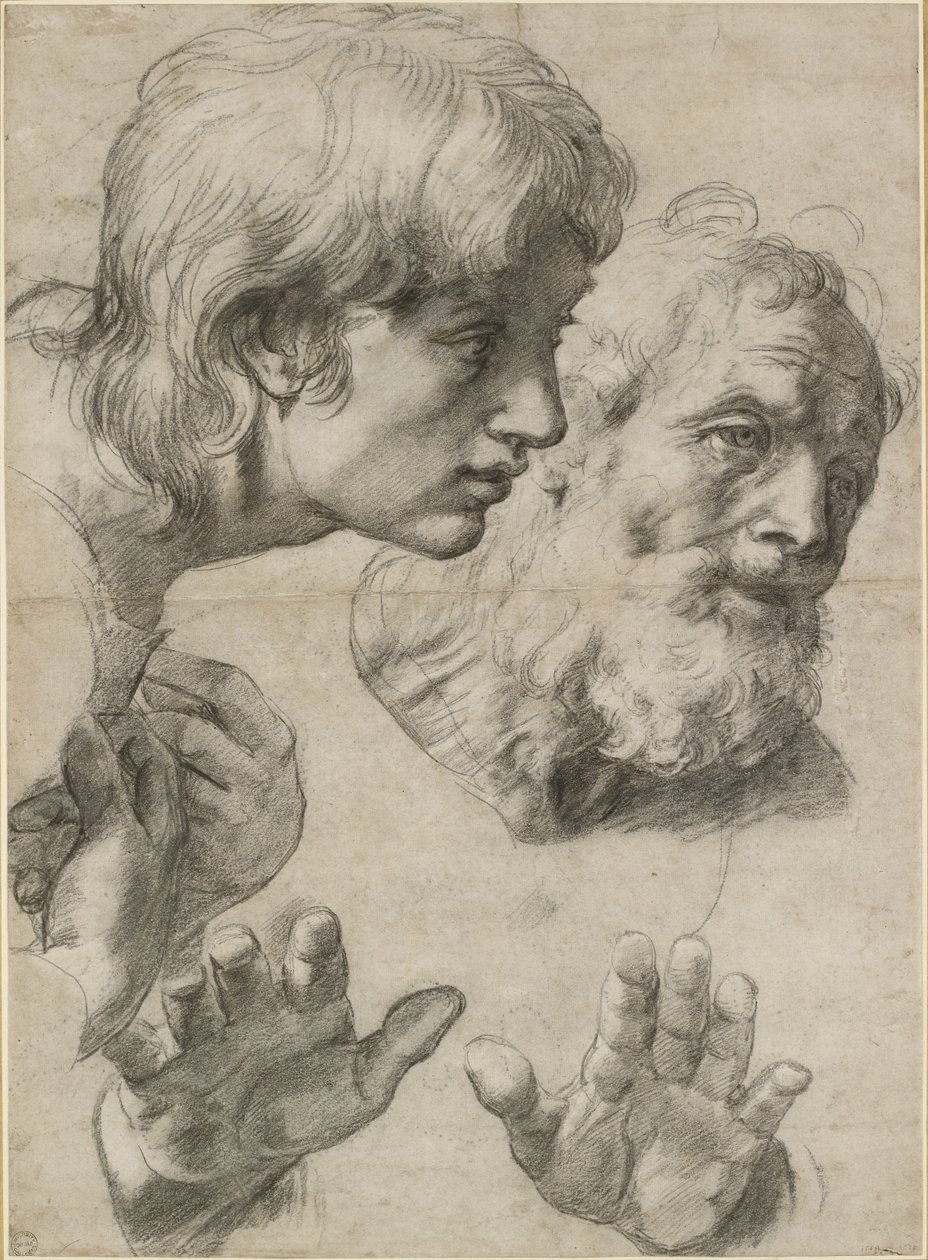 Studies of the heads of two apostles and of their hands by Raffaello Sanzio Raphael