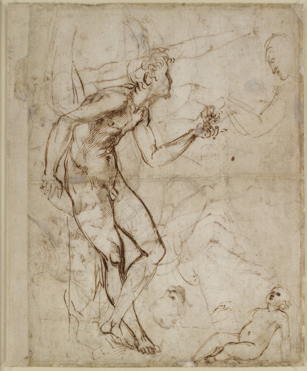 Verso: Adam Tempted, WA1846.180 by Raffaello Sanzio Raphael