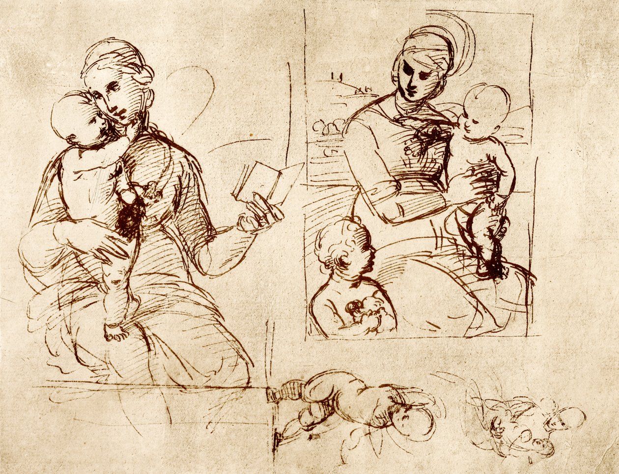 Two Madonna Studies by Raffaello Sanzio Raphael