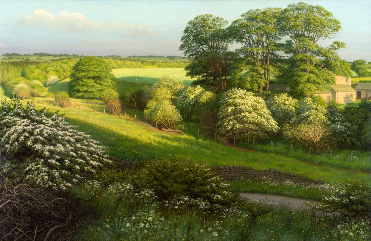 Landscape by Raymond Booth
