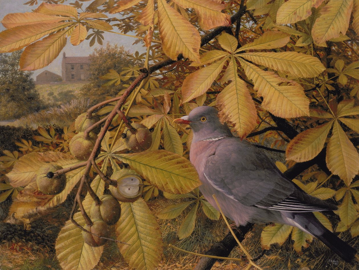 October: Pigeon in Horse Chestnut by Raymond Booth