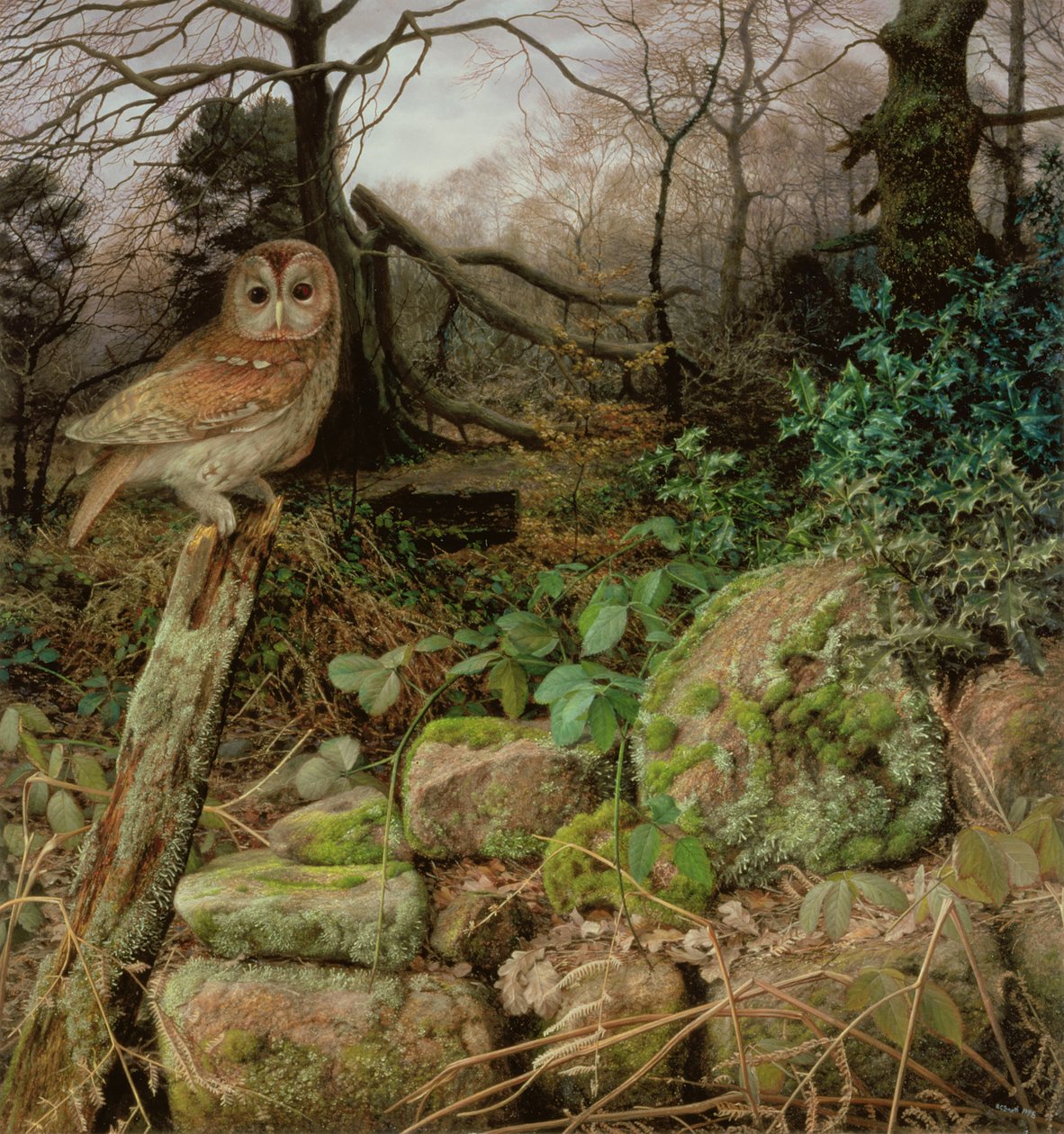 The Wild Wood - A Winter Evening by Raymond Booth