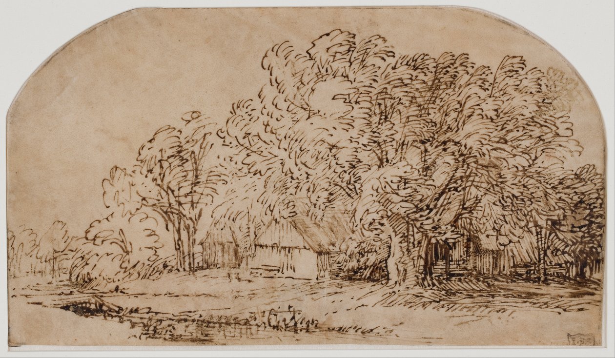 Landscape with Cottages under Tall Trees by Rembrandt van Rijn