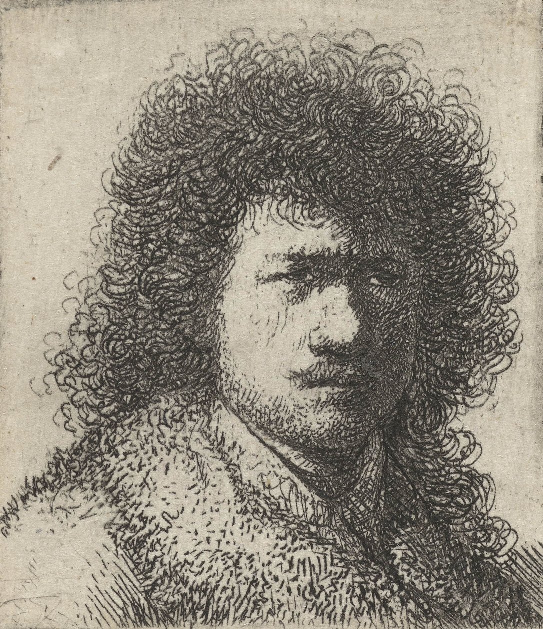 Self-Portrait with Untidy Hair, 1628-31 by Rembrandt van Rijn