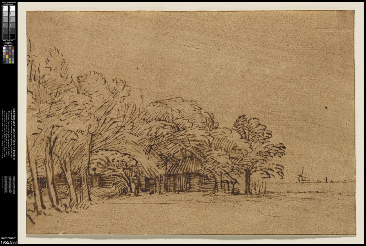 Farm under Trees by Rembrandt van Rijn