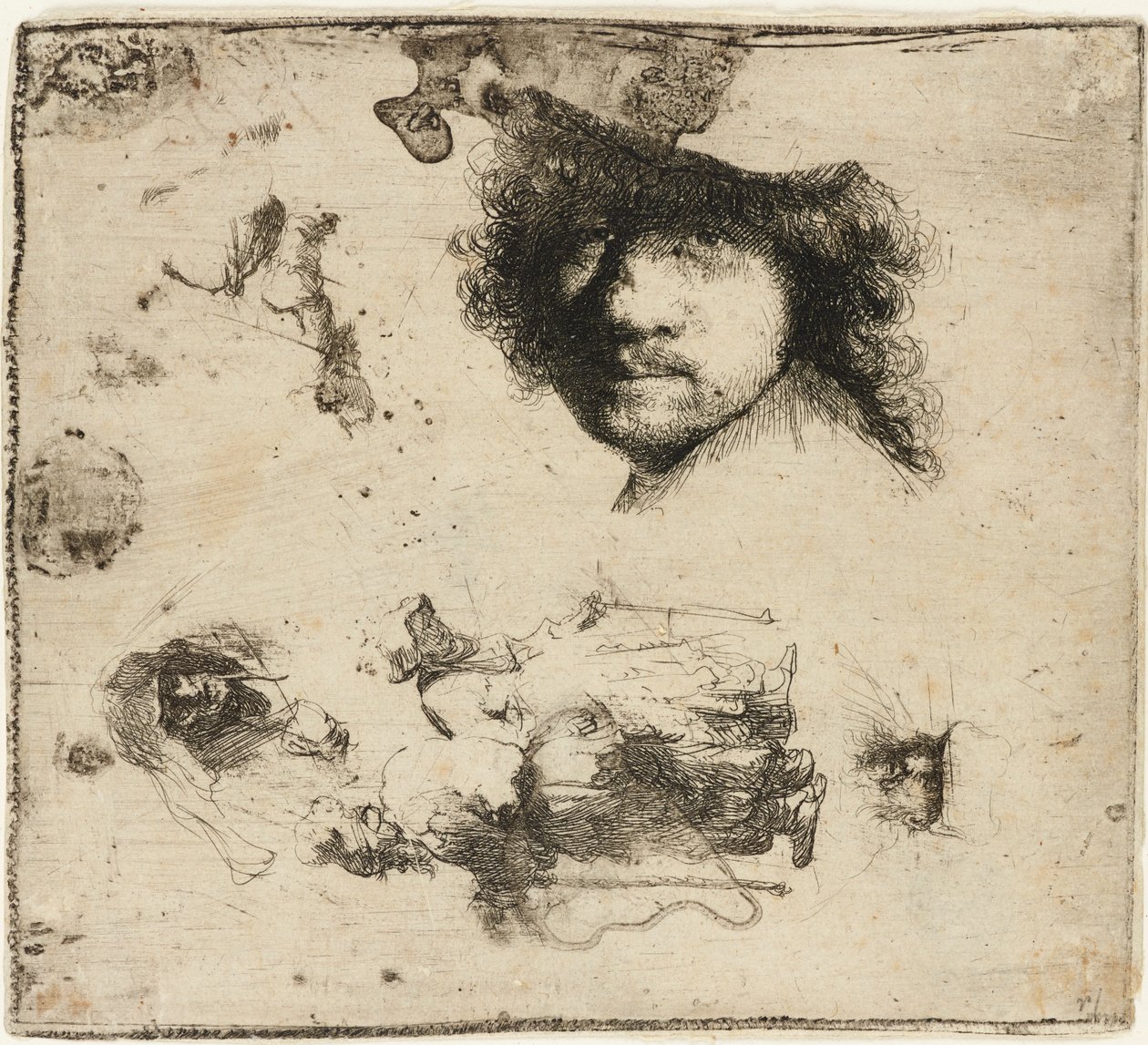 Sheet of studies by Rembrandt van Rijn