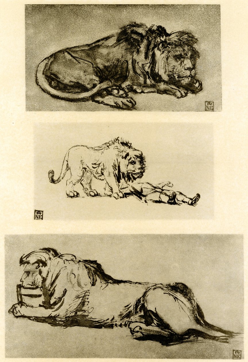Three Lion Studies by Rembrandt van Rijn