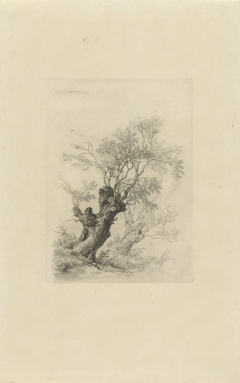 Willow Tree by Remigius Adrianus Haanen