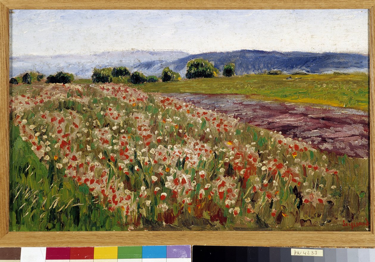 The field of poppies by Rene Auguste Seyssaud