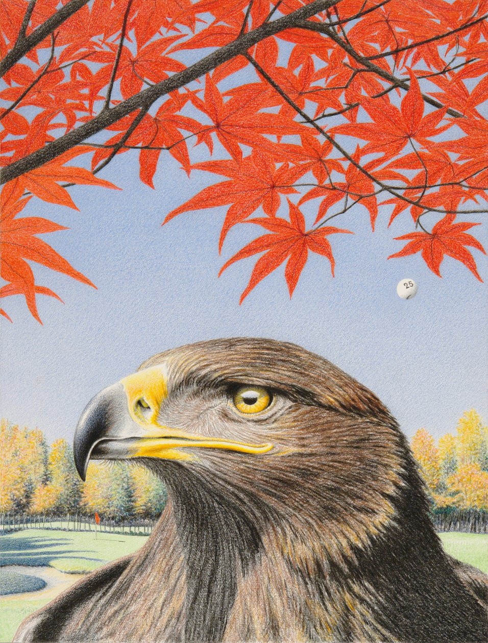 Eagle by Rene Boin