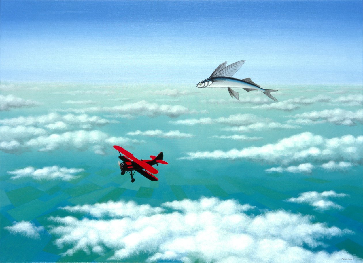 Flying Fish by Rene Boin