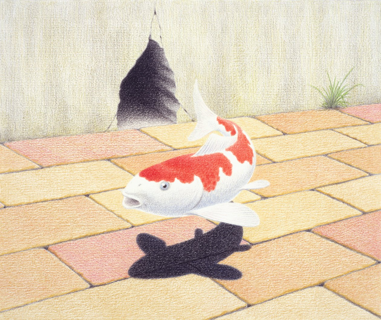 Koi by Rene Boin