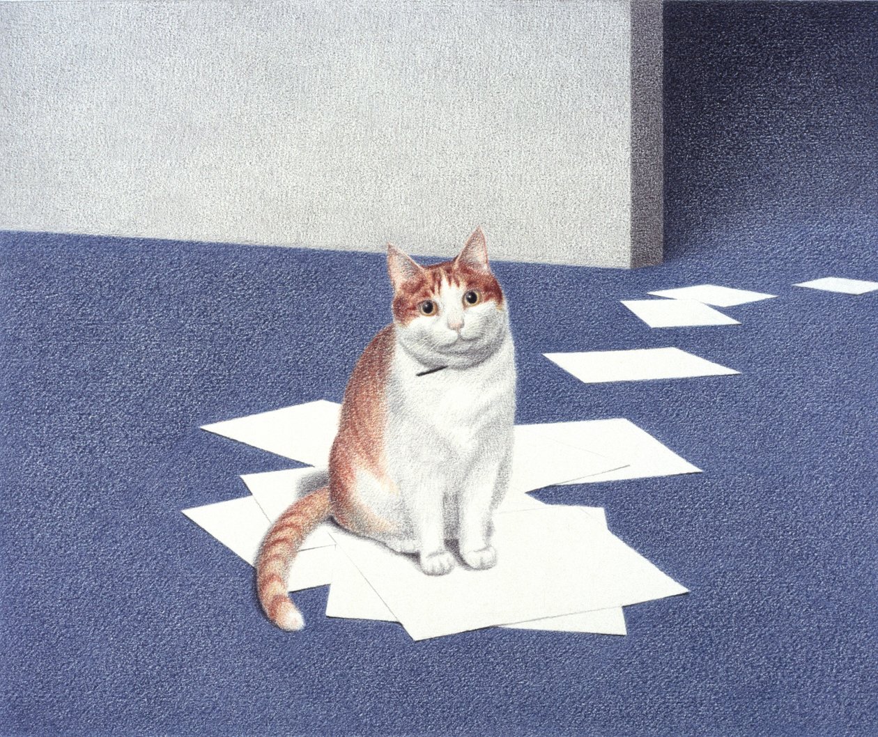 Papers by Rene Boin