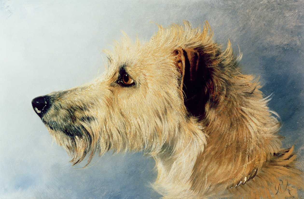 Head of a Dog by Richard Ansdell