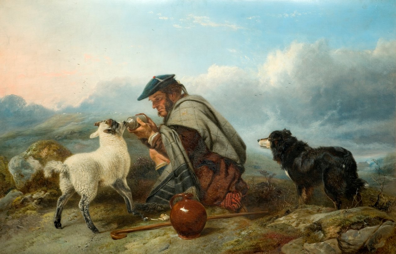 The Sick Lamb by Richard Ansdell