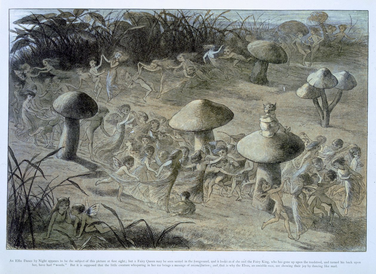 An Elfin Dance by Night, Illustration from 