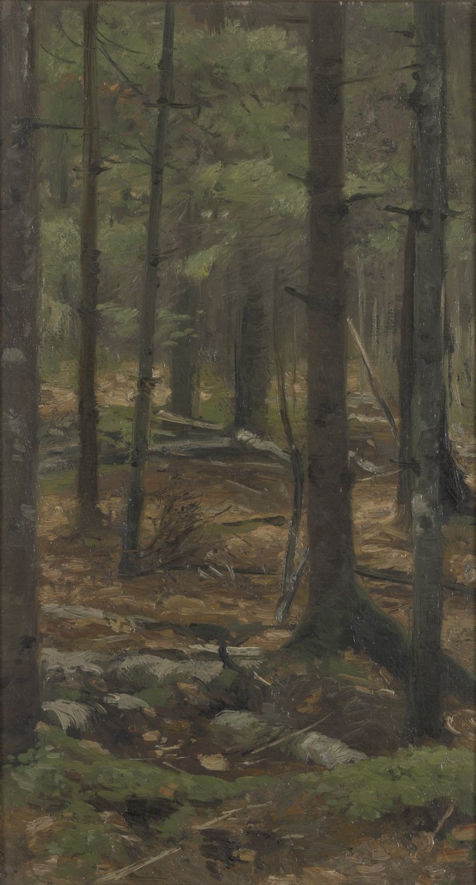 In the Forest of Rominten by Richard Friese