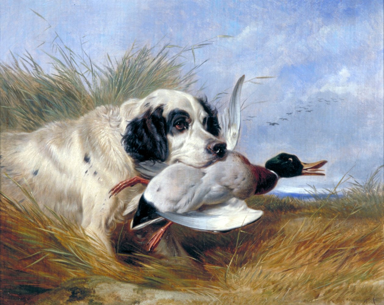 Dog with Wild Duck by Richard Ansdell