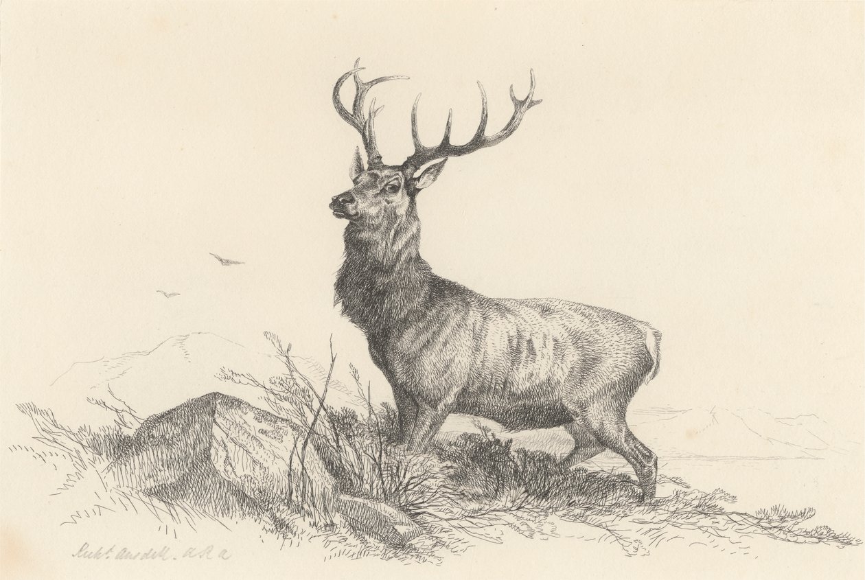 The Sentinel by Richard Ansdell