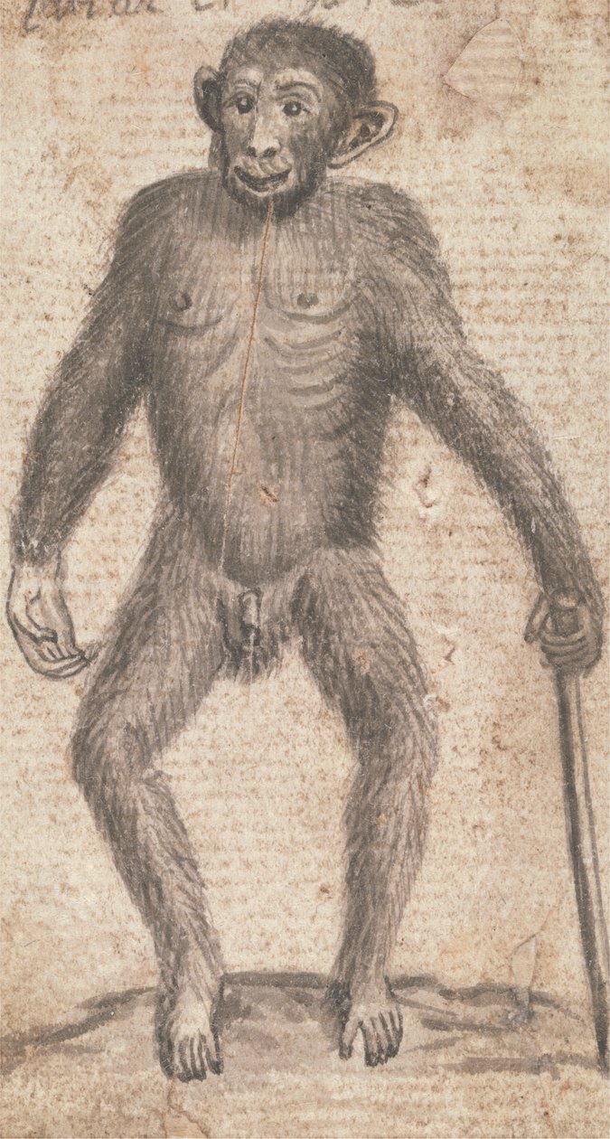 Monkeys (One of Three on One Mount) by Richard Brookes
