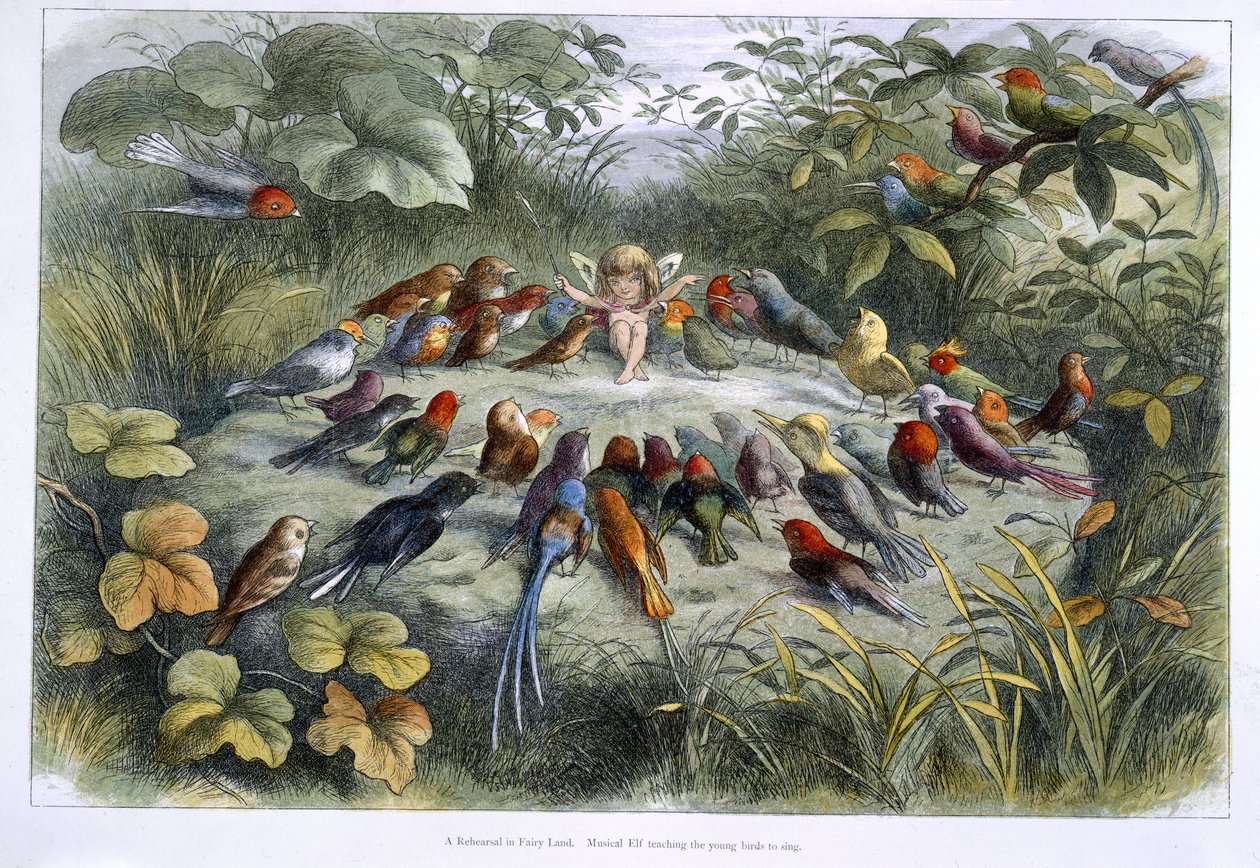 An elf and birds by Richard Doyle
