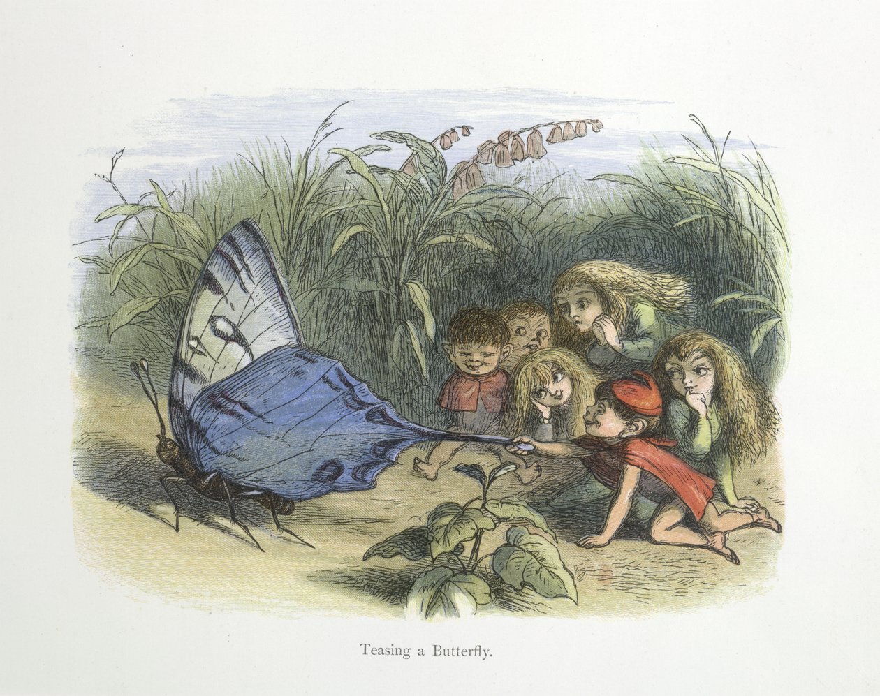 Teasing a Butterfly by Richard Doyle