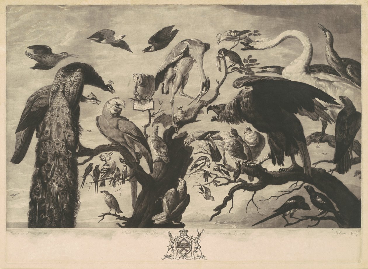 A Concert of Birds by Richard Earlom, after Mario Nuzzi