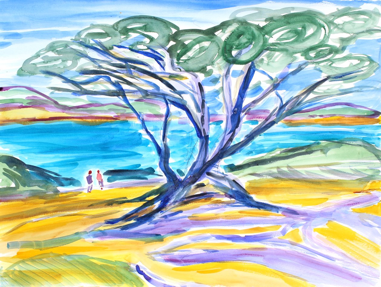 Cypress Tree, Carmel, 2019 by Richard Fox