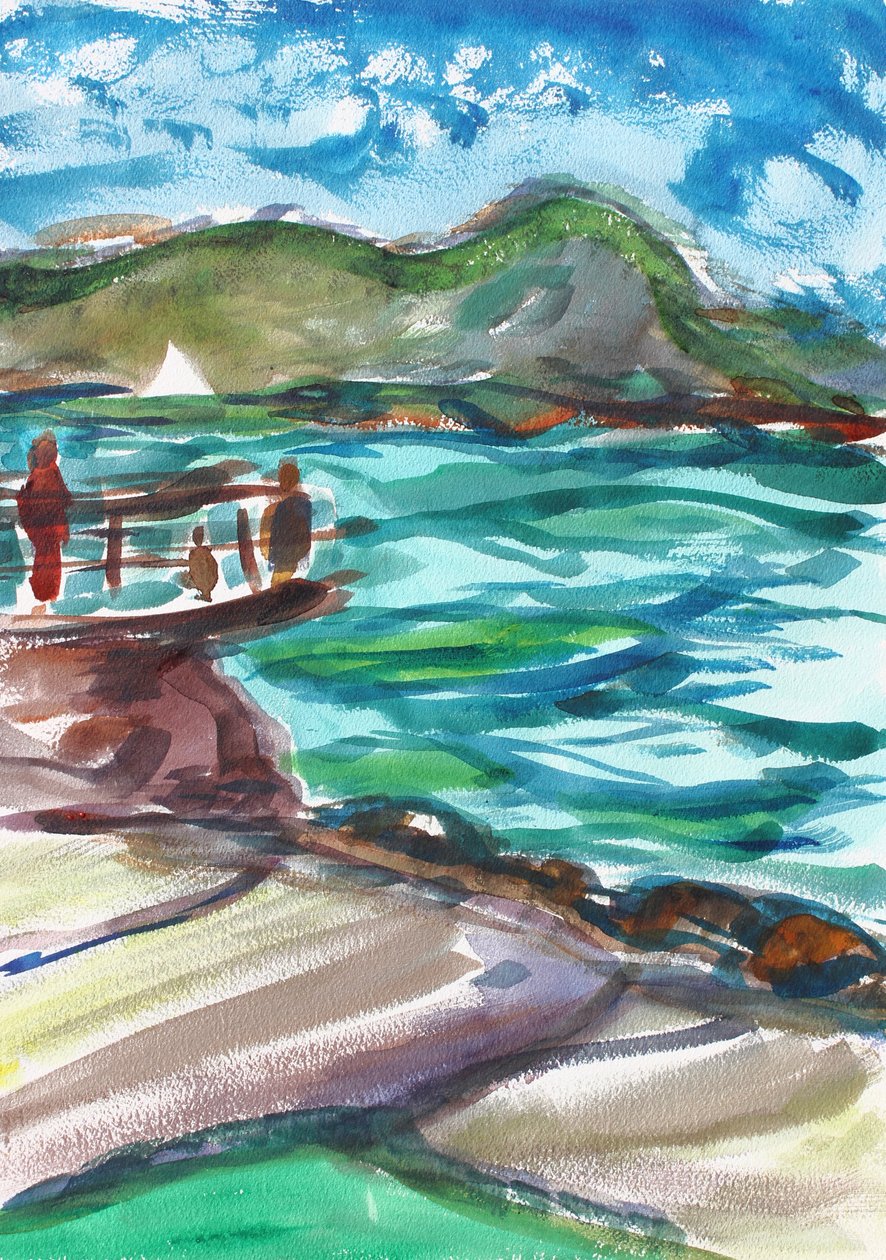 Elephant Rock, Tiburon by Richard Fox