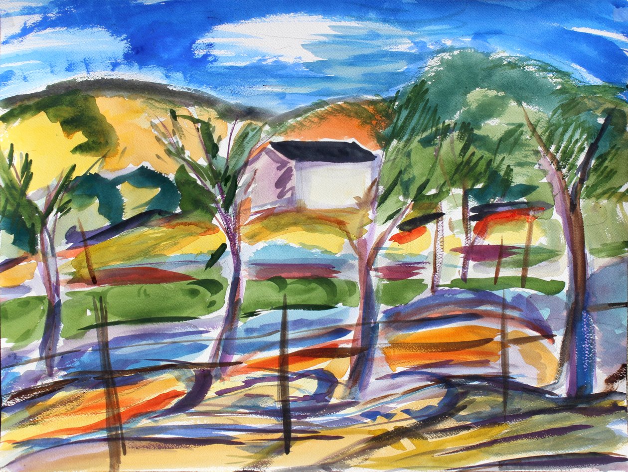 Field and Lonely House by Richard Fox