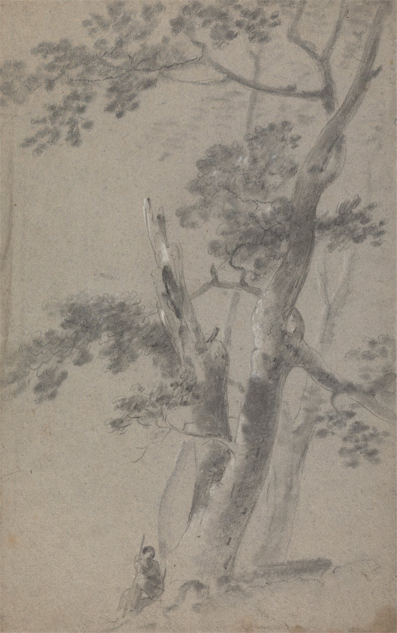 Shepherd Seated Under a Tree by Richard Wilson