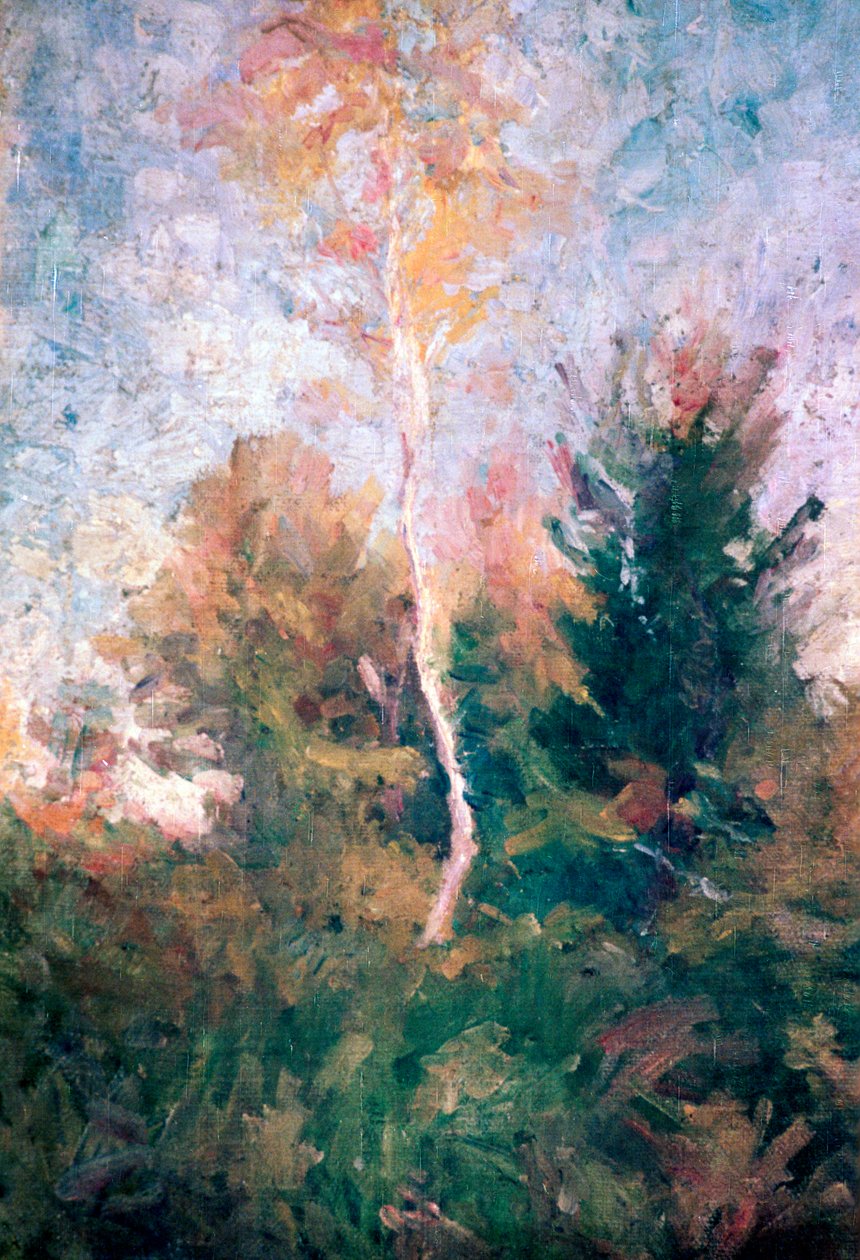 The Birch by Rihard Jakopic