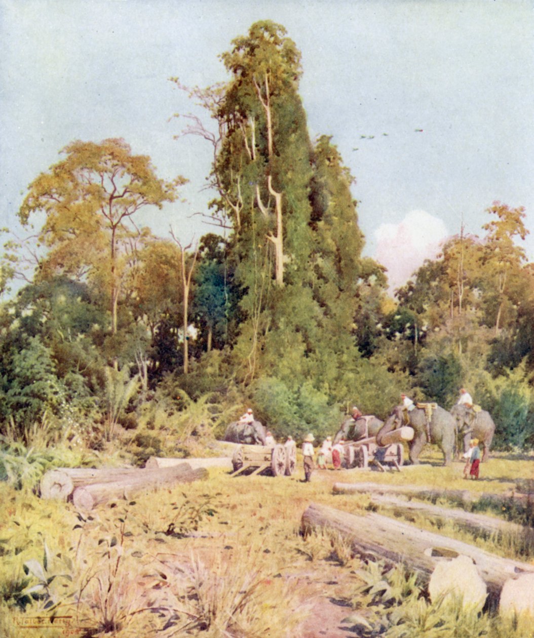 Loading Teak at Kokogon by Robert George Talbot Kelly