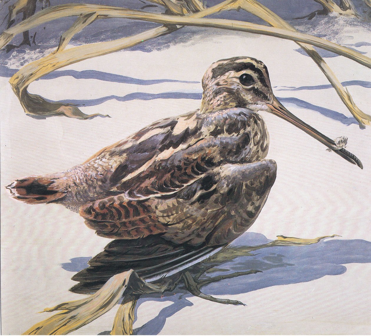 Snipe by Robert George Talbot Kelly