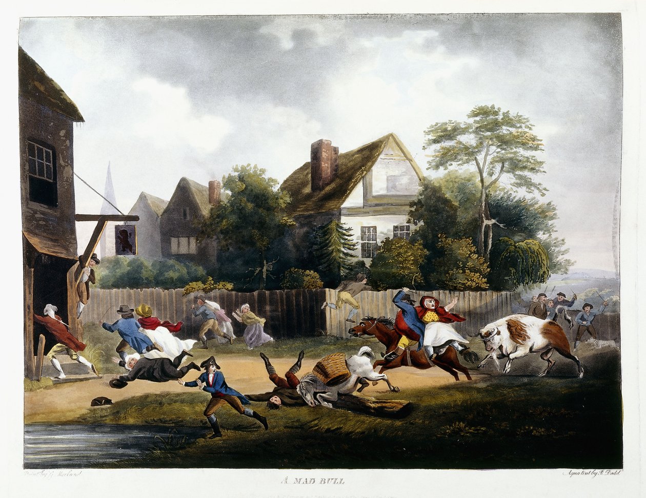 A Mad Bull by Robert Dodd