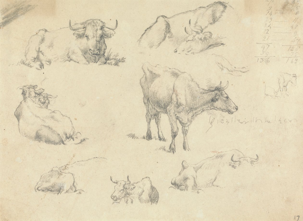 Cows From Various Angles by Robert Hills