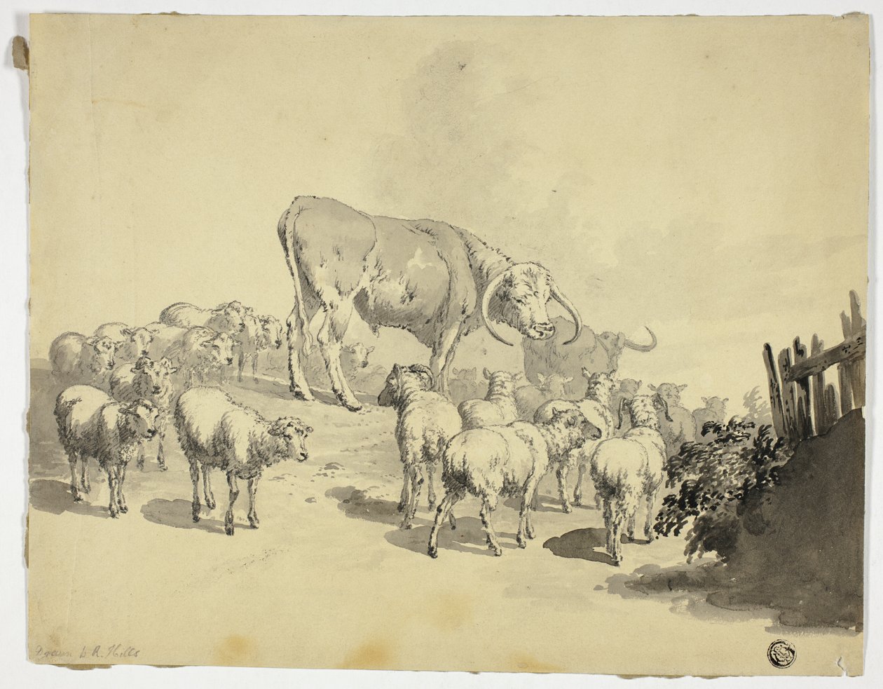 Cows and Sheep by Robert Hills