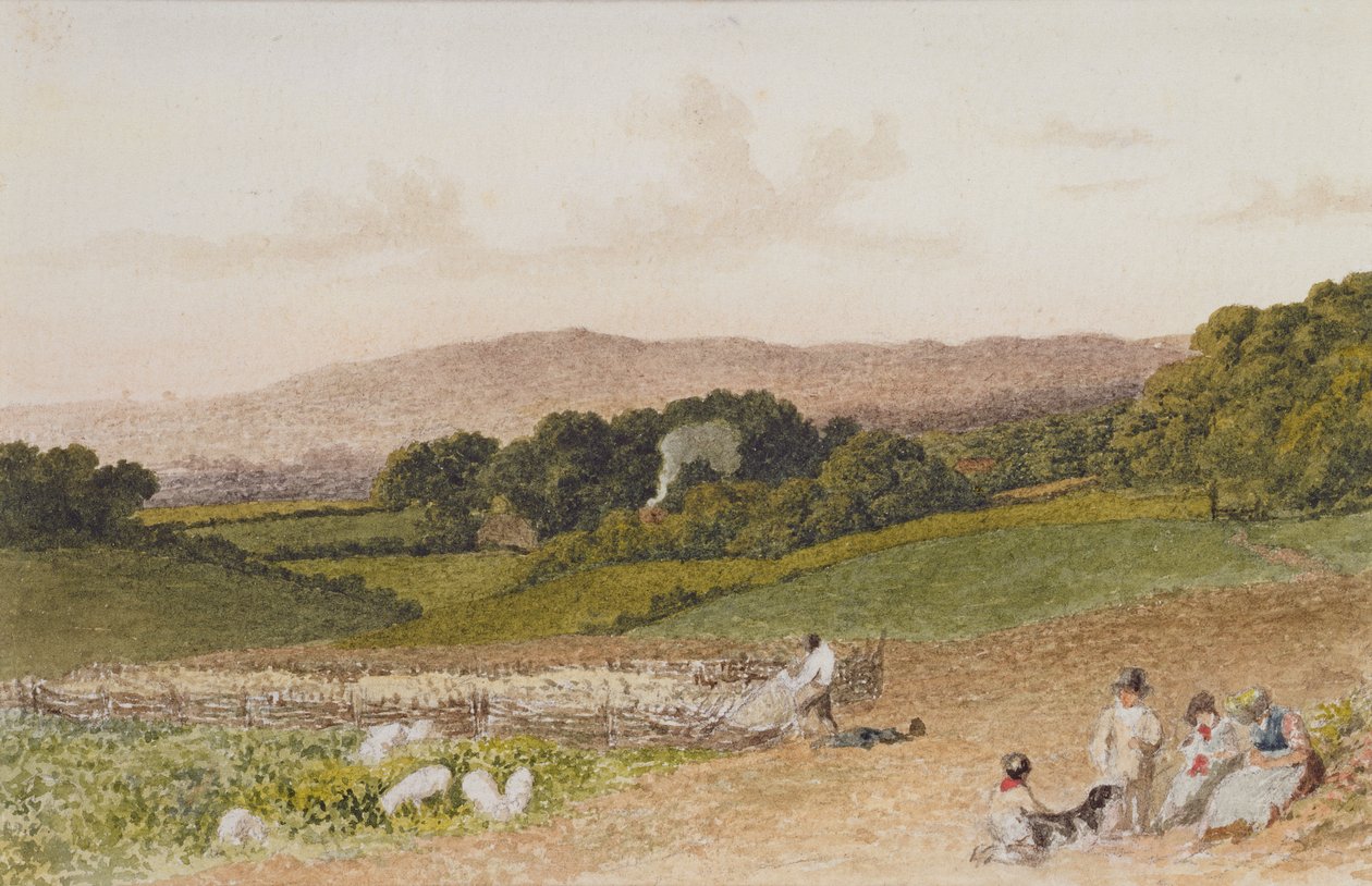The Turnip Field by Robert Hills