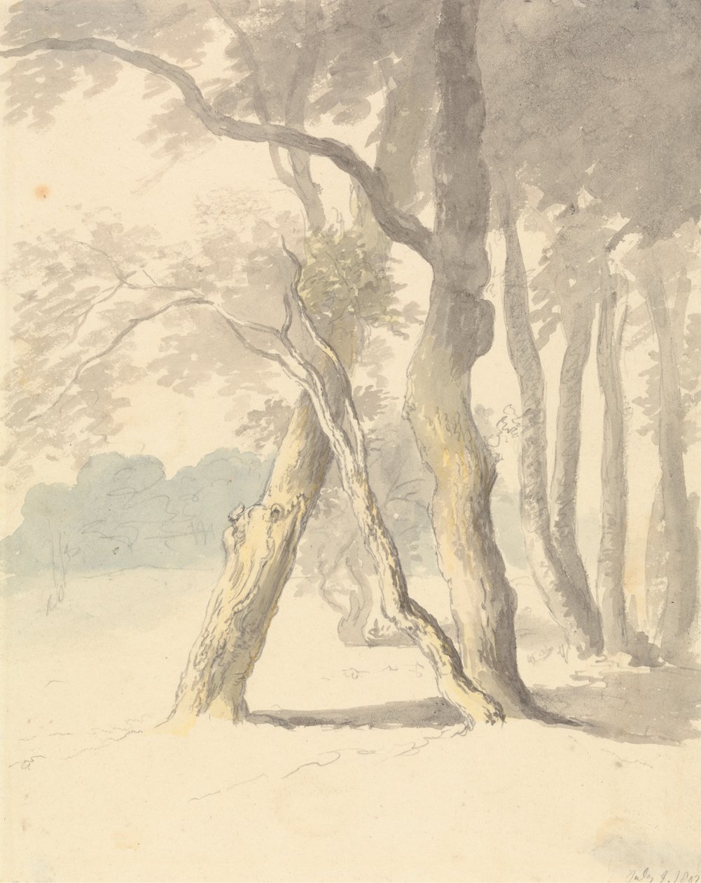 Woodland Study by Robert Hills