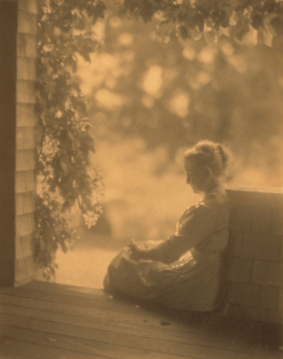 September Sun by Robert Peckham