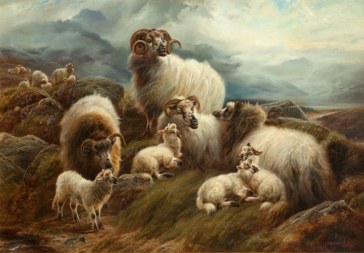 Sheep in a Landscape, 1894 by Robert Watson