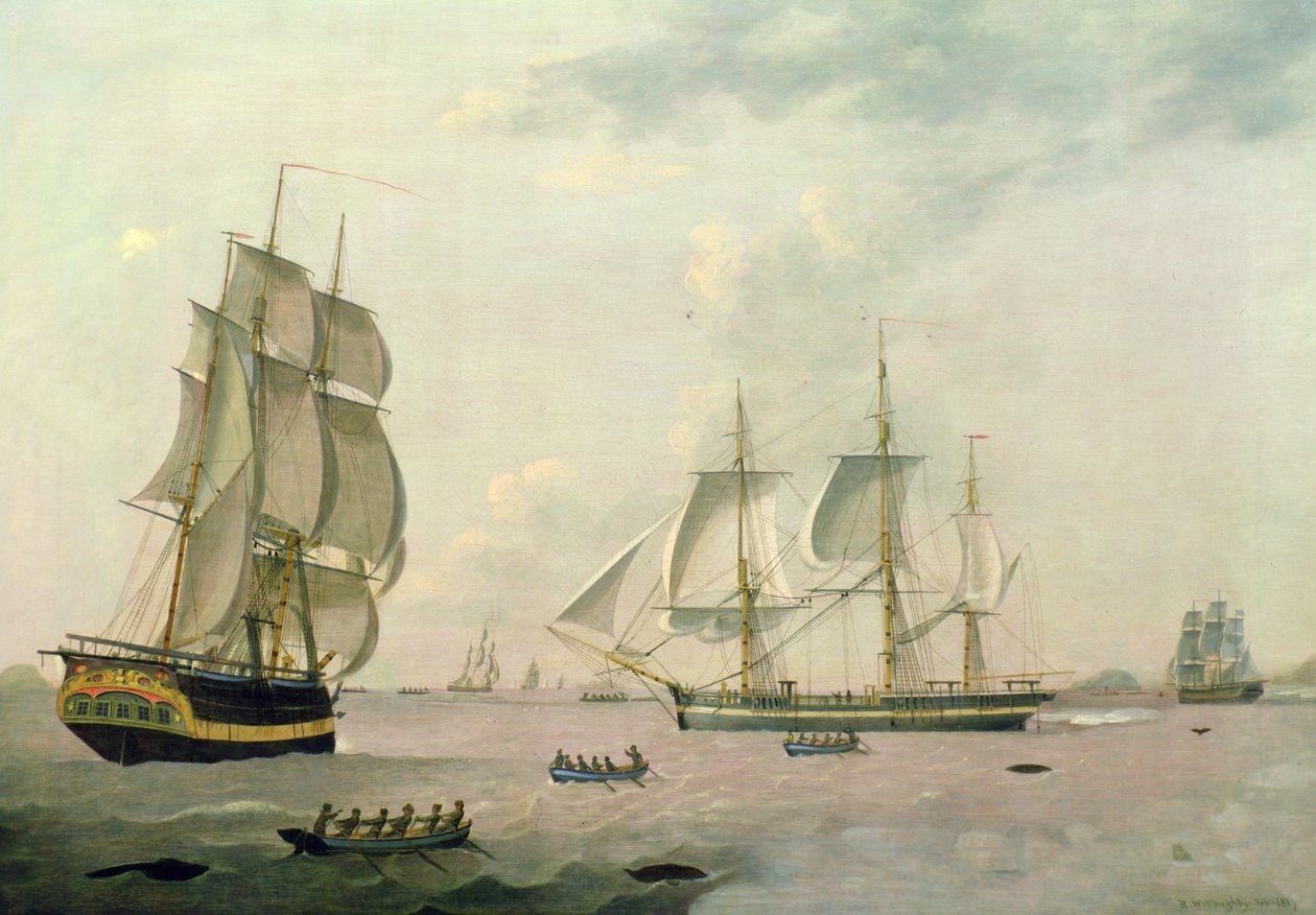 The Whaler 