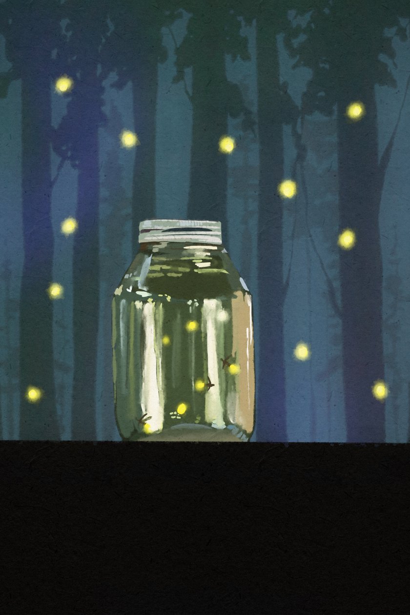 Chasing Fireflies by Roberta Murray