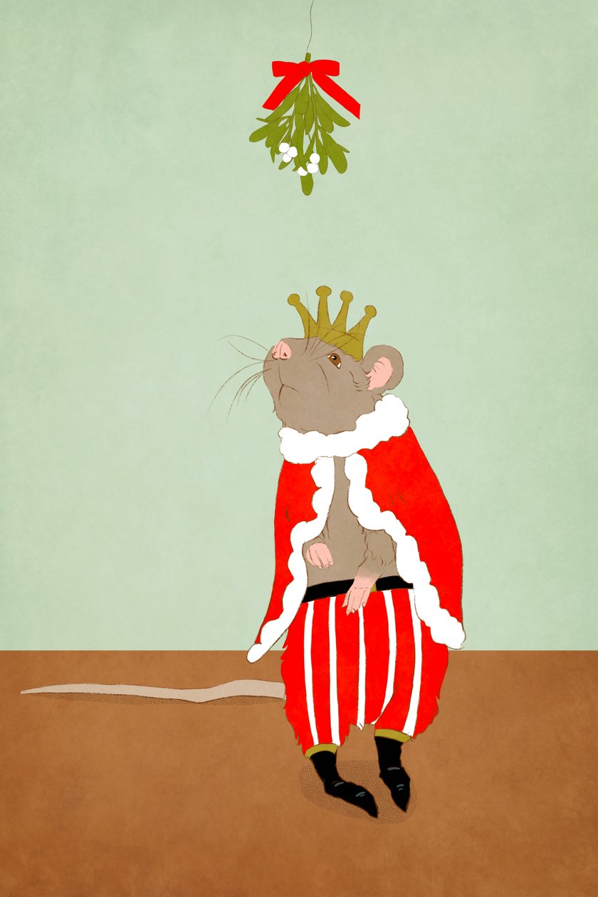 The Kissing King by Roberta Murray