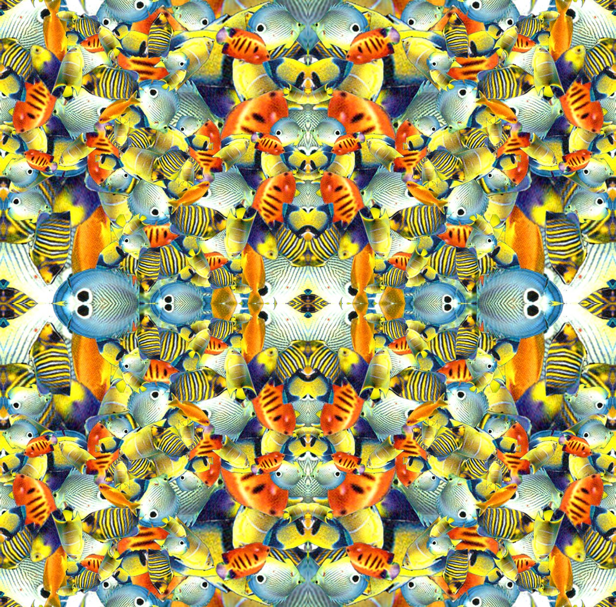 Kaleidoscope Fish Tile by Robyn Parker