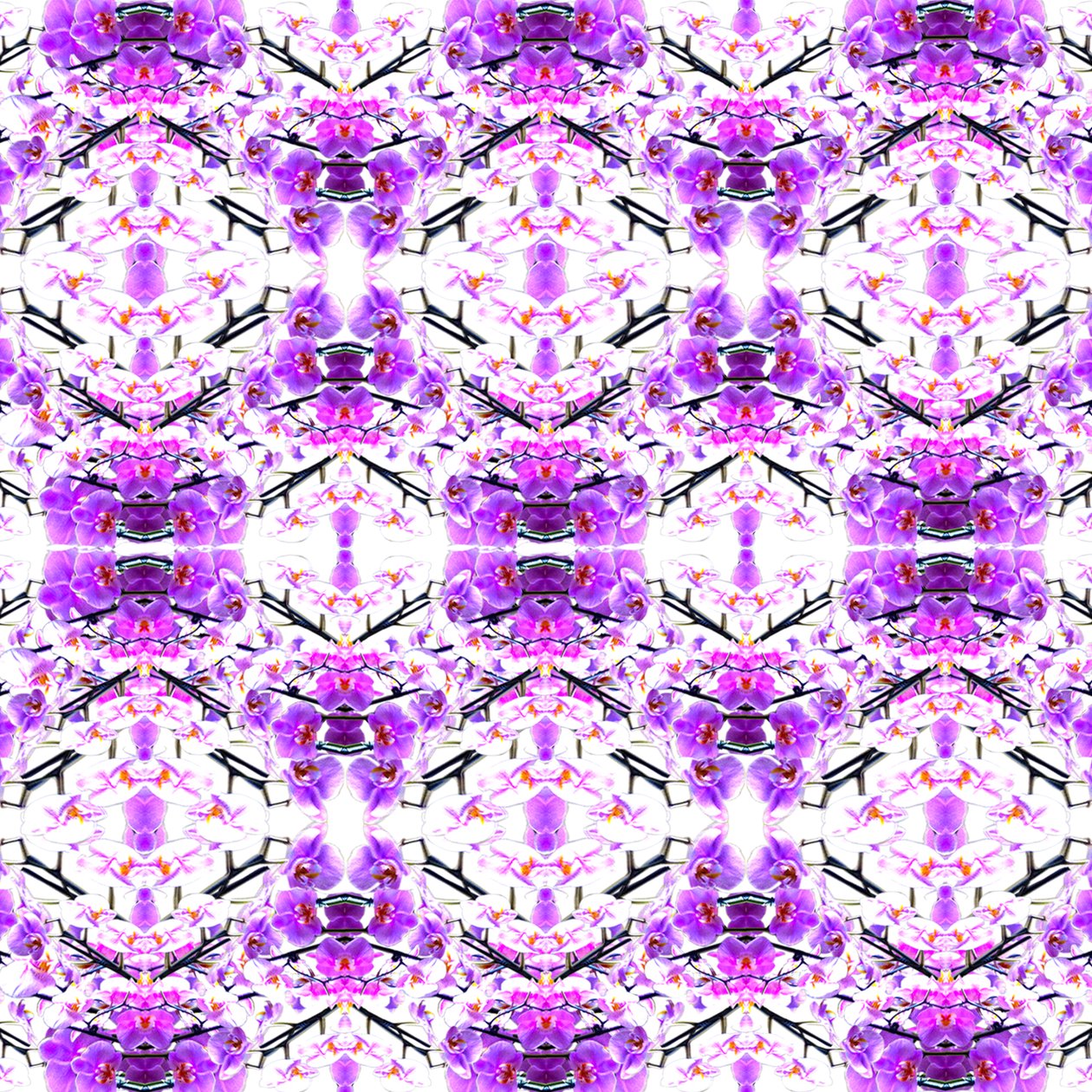 Orchid Repeat by Robyn Parker