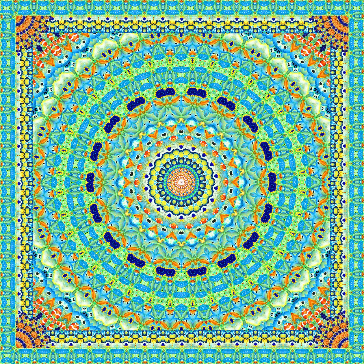 Tropical Fish Wheel Tile by Robyn Parker