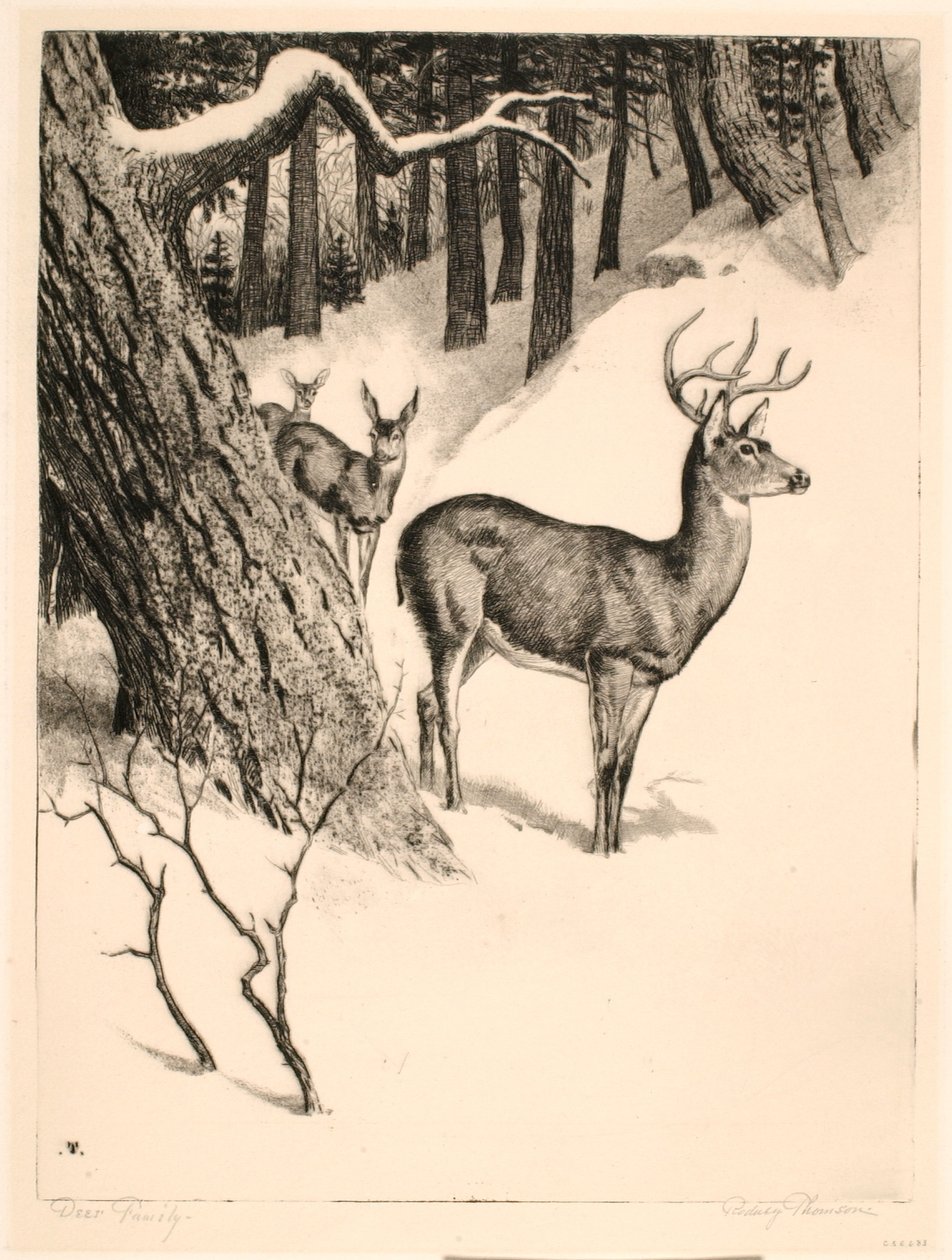 Deer Family by Rodney Thomson